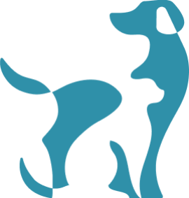 logo_footer